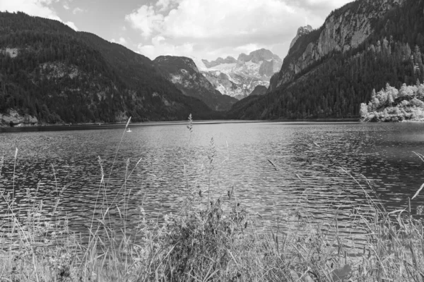 Szkammergut 'ta Gosau yakınlarındaki Avustralya Alplerinde yaz zamanı.