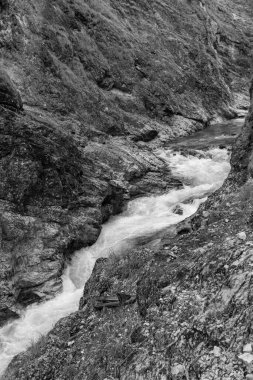 Szkammergut 'ta Gosau yakınlarındaki Avustralya Alplerinde yaz zamanı.