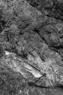 Szkammergut 'ta Gosau yakınlarındaki Avustralya Alplerinde yaz zamanı.