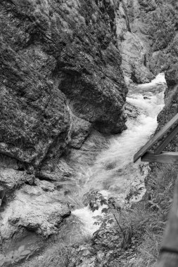 Szkammergut 'ta Gosau yakınlarındaki Avustralya Alplerinde yaz zamanı.