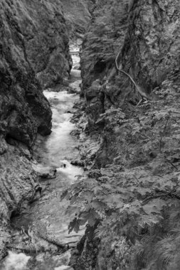 Szkammergut 'ta Gosau yakınlarındaki Avustralya Alplerinde yaz zamanı.