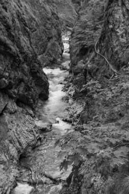 Szkammergut 'ta Gosau yakınlarındaki Avustralya Alplerinde yaz zamanı.