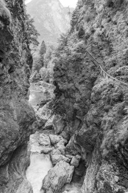 Szkammergut 'ta Gosau yakınlarındaki Avustralya Alplerinde yaz zamanı.