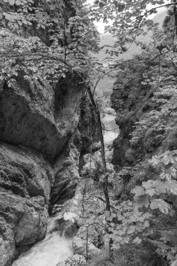 Szkammergut 'ta Gosau yakınlarındaki Avustralya Alplerinde yaz zamanı.