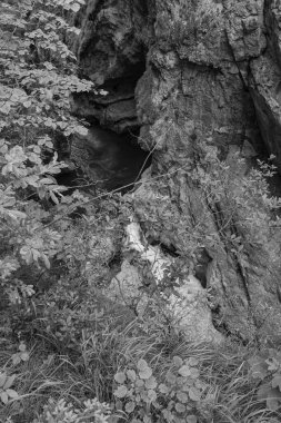 Szkammergut 'ta Gosau yakınlarındaki Avustralya Alplerinde yaz zamanı.