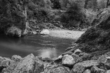 Szkammergut 'ta Gosau yakınlarındaki Avustralya Alplerinde yaz zamanı.