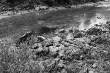Szkammergut 'ta Gosau yakınlarındaki Avustralya Alplerinde yaz zamanı.