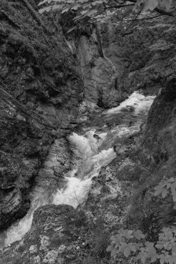 Szkammergut 'ta Gosau yakınlarındaki Avustralya Alplerinde yaz zamanı.