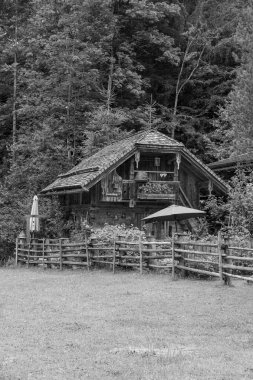 Szkammergut 'ta Gosau yakınlarındaki Avustralya Alplerinde yaz zamanı.