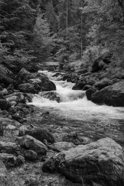 Szkammergut 'ta Gosau yakınlarındaki Avustralya Alplerinde yaz zamanı.