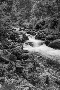 Szkammergut 'ta Gosau yakınlarındaki Avustralya Alplerinde yaz zamanı.