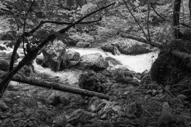 Szkammergut 'ta Gosau yakınlarındaki Avustralya Alplerinde yaz zamanı.