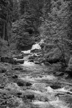 Szkammergut 'ta Gosau yakınlarındaki Avustralya Alplerinde yaz zamanı.
