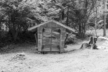 Szkammergut 'ta Gosau yakınlarındaki Avustralya Alplerinde yaz zamanı.