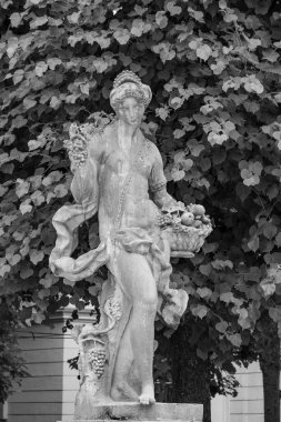 Szkammergut 'ta Gosau yakınlarındaki Avustralya Alplerinde yaz zamanı.