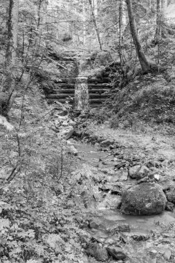 Szkammergut 'ta Gosau yakınlarındaki Avustralya Alplerinde yaz zamanı.