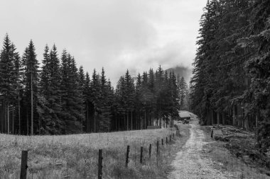 Gosau yakınlarındaki Avustralya Alplerinde yaz mevsimi