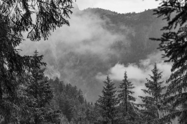 Gosau yakınlarındaki Avustralya Alplerinde yaz mevsimi