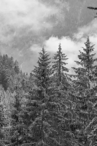 Переход Летнее Время Австрийских Альпах Рядом Госау — стоковое фото