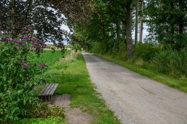 Alman Muensterland 'inde yaz mevsimi