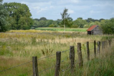 Alman Muensterland 'inde yaz mevsimi