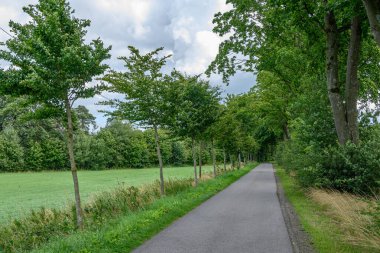 Alman Muensterland 'inde yaz mevsimi