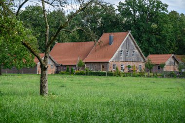 Alman Muensterland 'inde yaz mevsimi