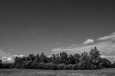 Alman Muensterland 'inde yaz mevsimi