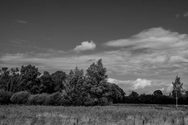 Alman Muensterland 'inde yaz mevsimi