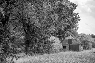 Alman Muensterland 'inde yaz mevsimi