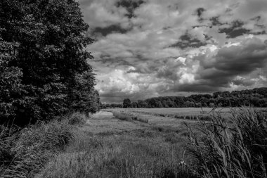 Alman Muensterland 'inde yaz mevsimi