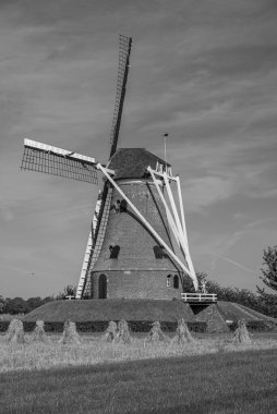 Hollanda 'da yel değirmeni