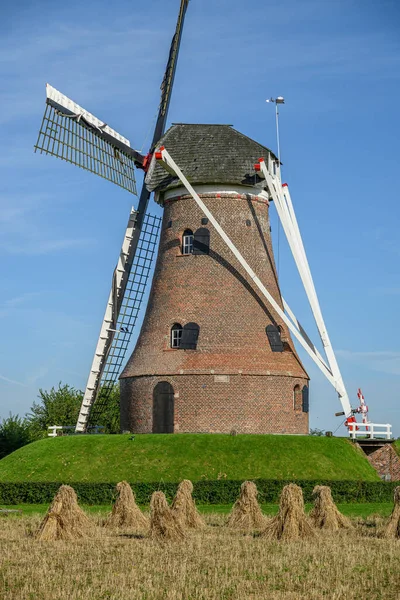 オランダの風車は — ストック写真