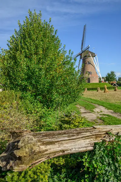 Moulin Vent Aux Pays Bas — Photo