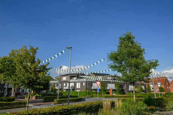 Sommerzeit Münsterland — Stockfoto