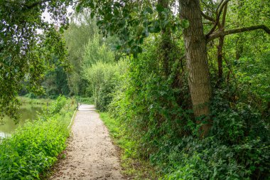 Alman Muensterland 'ındaki Raesfeld' in odl kalesi.