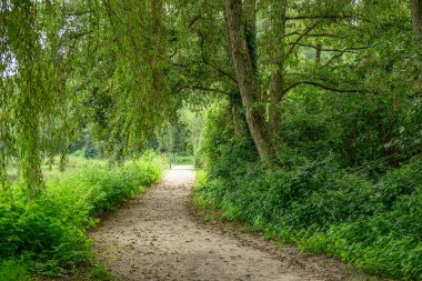 Alman Muensterland 'ındaki Raesfeld' in odl kalesi.