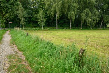 Alman Muensterland 'ındaki Raesfeld' in odl kalesi.