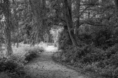Alman Muensterland 'ındaki Raesfeld' in odl kalesi.