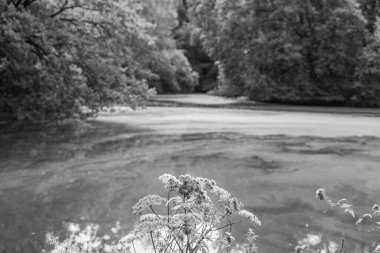 Alman Muensterland 'ındaki Raesfeld' in odl kalesi.