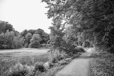 Alman Muensterland 'ındaki Raesfeld' in odl kalesi.