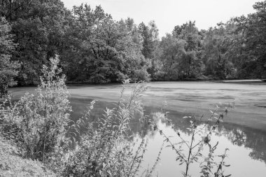 Alman Muensterland 'ındaki Raesfeld' in odl kalesi.