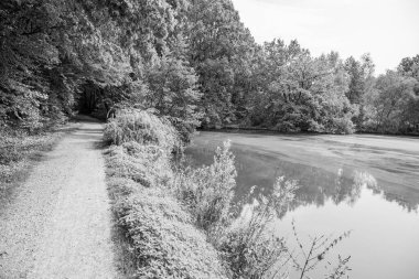 Alman Muensterland 'ındaki Raesfeld' in odl kalesi.