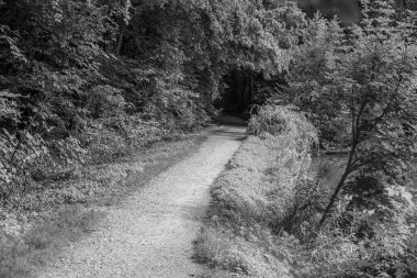 Alman Muensterland 'ındaki Raesfeld' in odl kalesi.