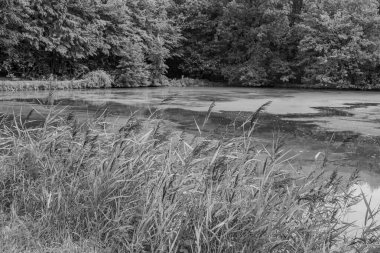 Alman Muensterland 'ındaki Raesfeld' in odl kalesi.