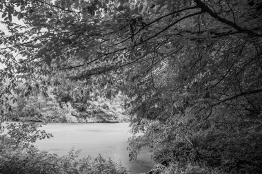 Alman Muensterland 'ındaki Raesfeld' in odl kalesi.
