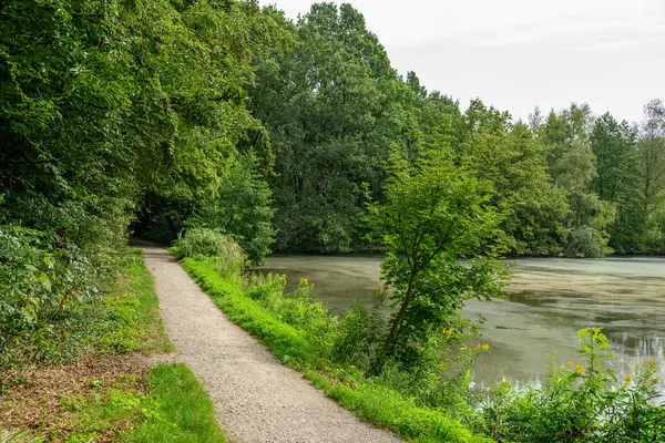 Alman Muensterland 'ındaki Raesfeld' in odl kalesi.