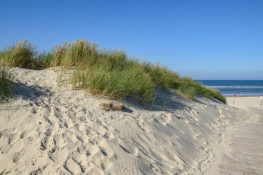 Langeoog plajında yaz zamanı