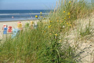 Langeoog plajında yaz zamanı