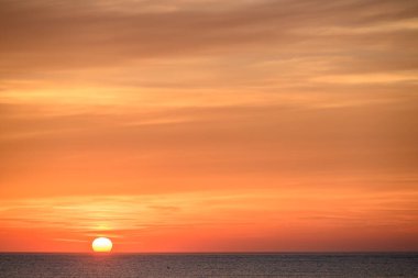 Alman langeoog Adası